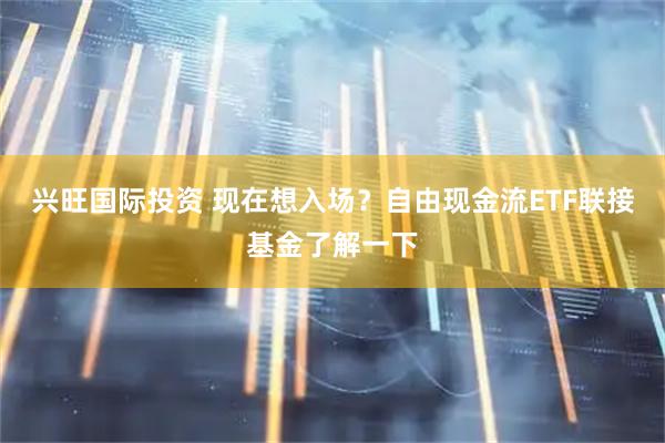 兴旺国际投资 现在想入场？自由现金流ETF联接基金了解一下