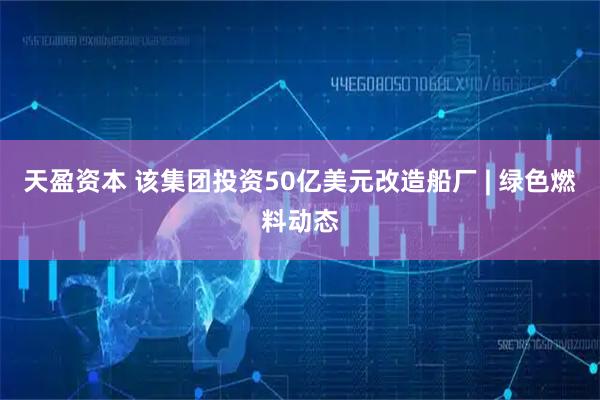 天盈资本 该集团投资50亿美元改造船厂 | 绿色燃料动态