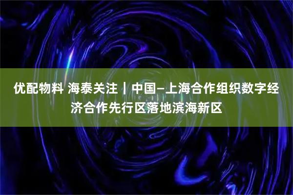 优配物料 海泰关注｜中国—上海合作组织数字经济合作先行区落地滨海新区
