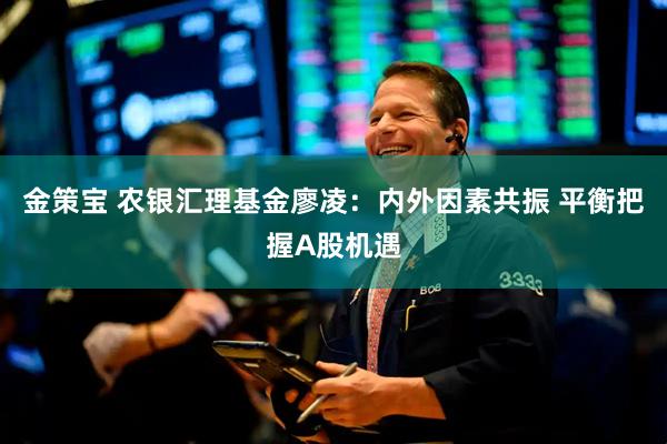 金策宝 农银汇理基金廖凌：内外因素共振 平衡把握A股机遇