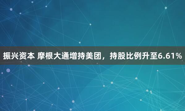 振兴资本 摩根大通增持美团，持股比例升至6.61%