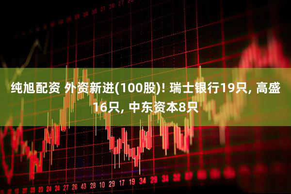 纯旭配资 外资新进(100股)! 瑞士银行19只, 高盛16只, 中东资本8只