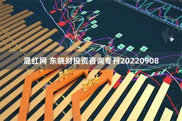 晟红网 东晓财投资咨询专刊20220908