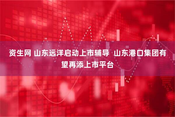 资生网 山东远洋启动上市辅导  山东港口集团有望再添上市平台
