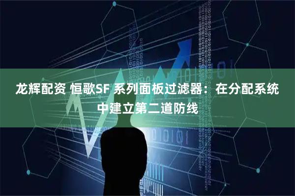 龙辉配资 恒歌SF 系列面板过滤器：在分配系统中建立第二道防线