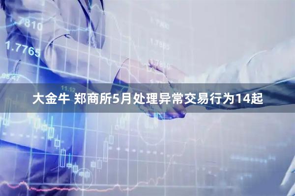 大金牛 郑商所5月处理异常交易行为14起