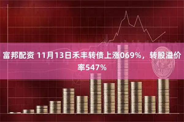 富邦配资 11月13日禾丰转债上涨069%，转股溢价率547%