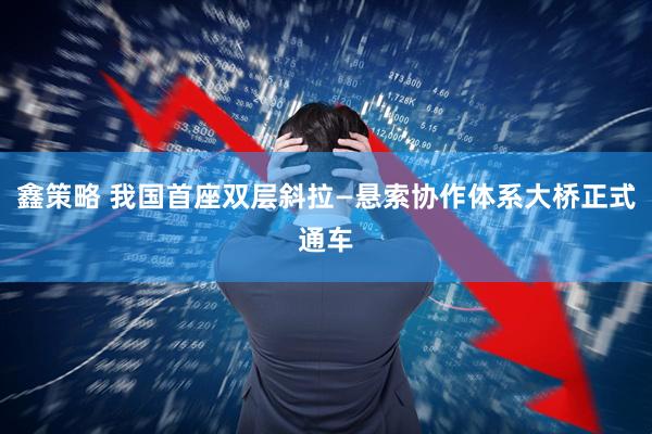 鑫策略 我国首座双层斜拉—悬索协作体系大桥正式通车